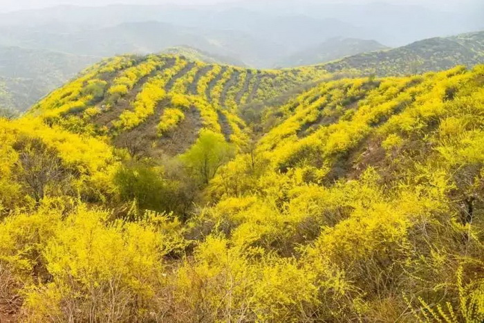 1649380721335661.jpeg Åäͼ.jpg