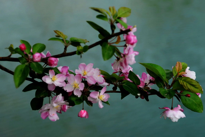 1650445801527075.jpeg 1.jpg