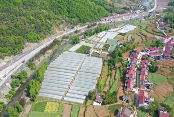 1671892175554866.jpeg 11111.jpg