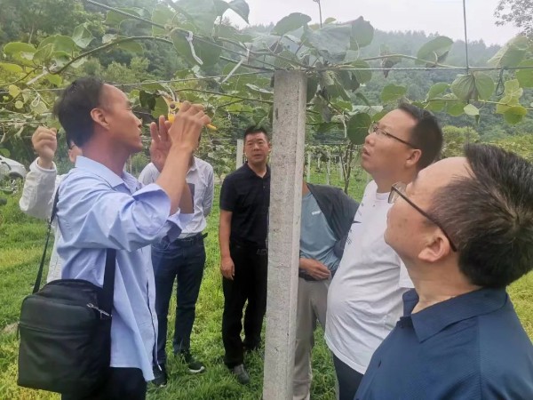 1671892251472723.jpeg 33333.jpg