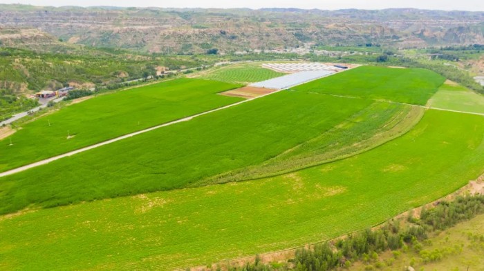 1673964894854807.jpeg 7686.jpg