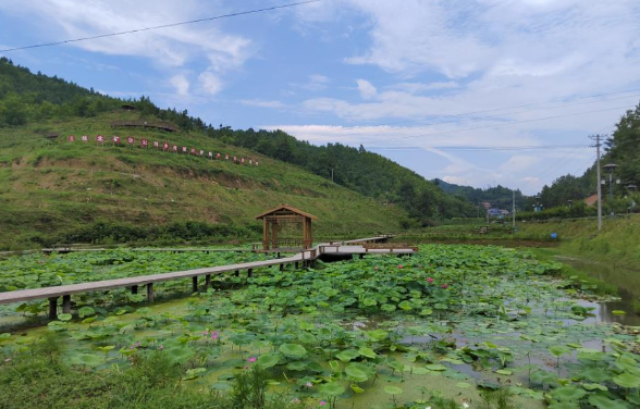 1689926792386475.png 640.png