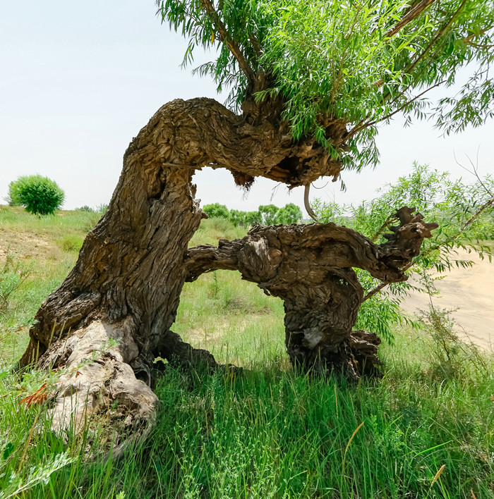 1701241141582369.jpeg 20170709-_T8A3305_副本.jpg