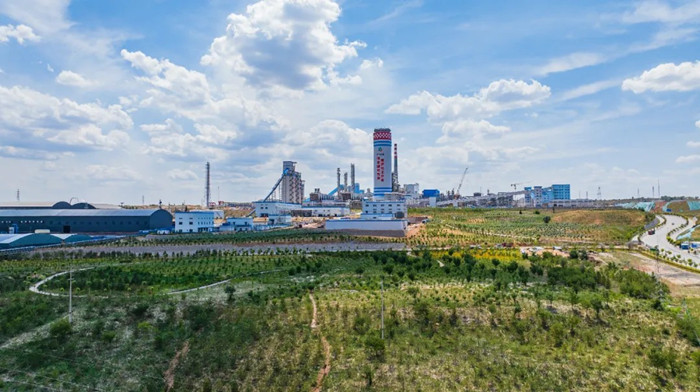 1735864134546328.jpeg 222.jpg