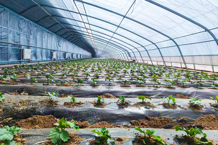 1746845903947703.jpeg 22.jpg