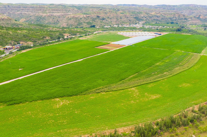 1746845946664788.jpeg 44.jpg