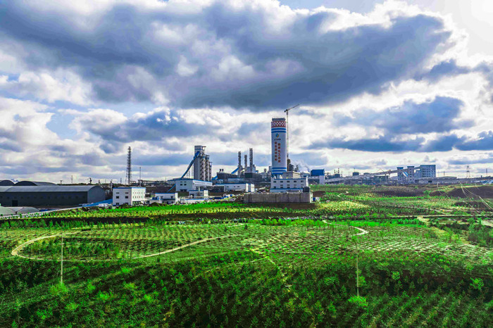 1746845970726842.jpeg 55(3).jpg