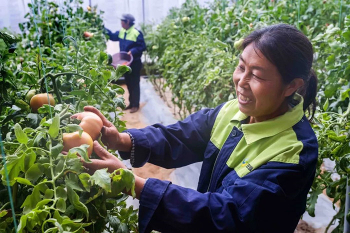 1755303552107995.jpeg 44.jpg