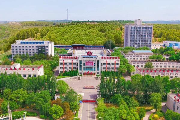 1763045380442766.jpeg 11_¸±±¾.jpg