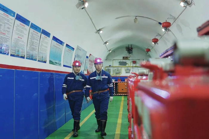 1769526930338525.jpeg 11_¸±±¾.jpg